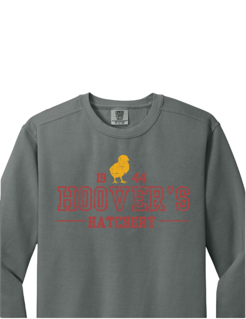 Picture of University Crewneck