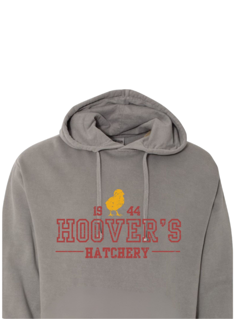 Picture of UNH University Hoodie