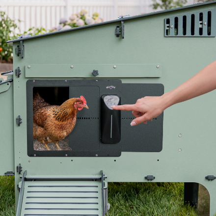 Picture of Lean-To Easy Clean Chicken Coop, 6 Chicken w/Auto Door Bundle